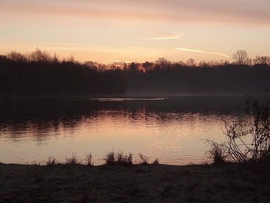 120125 Morgenstimmung Hoehenfelder See