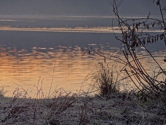 120125 Morgenstimmung Hoehenfelder See 