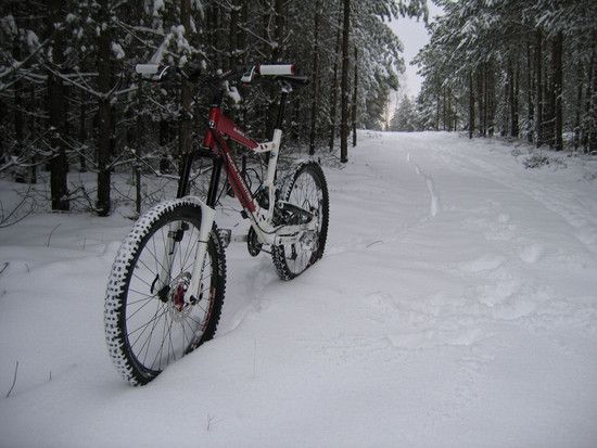 Bild2