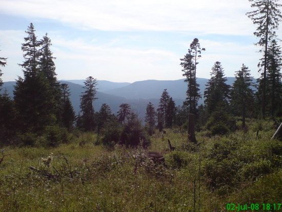 DSC00992