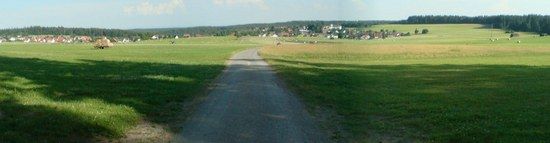 DSC00994