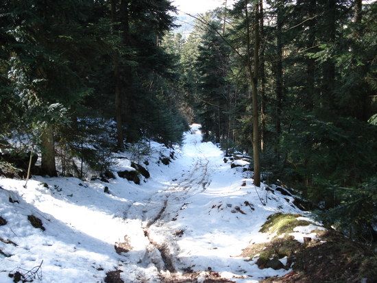 BAD Wildbad am 29.02.08 So wie es ausieht war es auch!!!