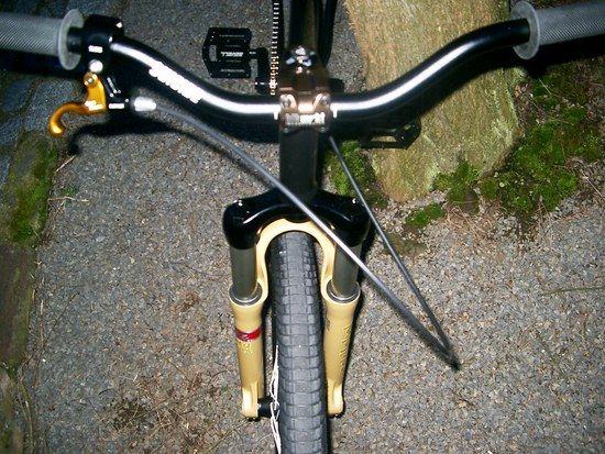 ManitouGoldLabel