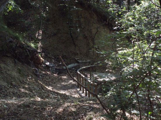 Brücke