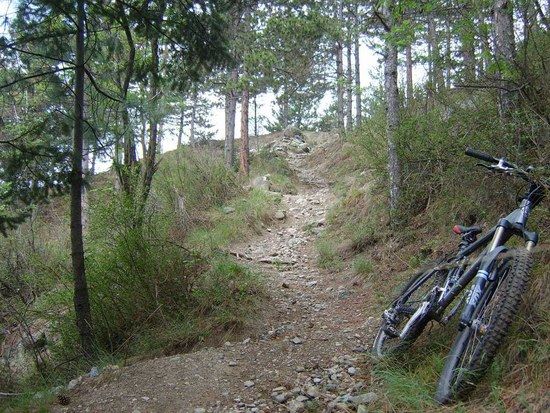 Trailabfahrt Goldrain 08