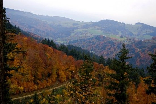 Blick nach Horben kl