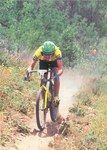 tomac yeti drop 25012003gross