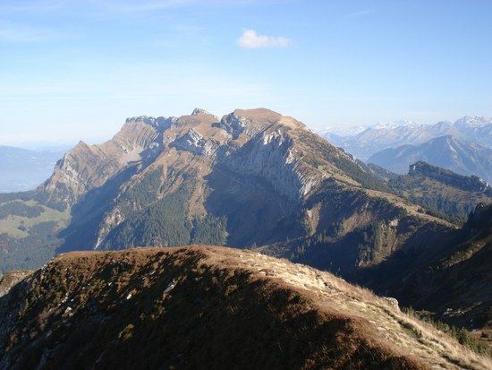 Mittaggpfi023