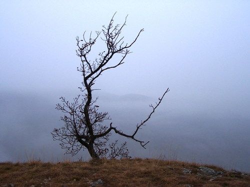 von Panoramio 4