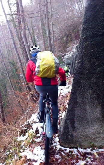 Bild15