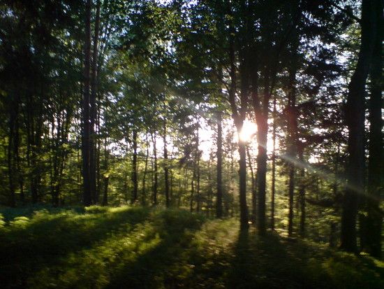 DSC01791