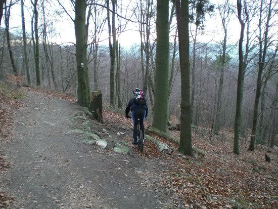 Der BerabBatzen in seinem Element