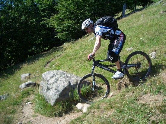RWT Juli 2010
