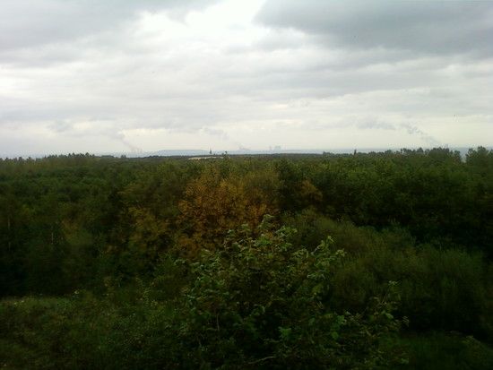 Foto-0007