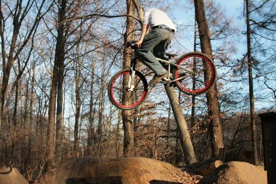 Whip