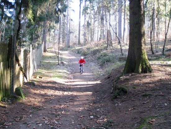 IMG 9687FILEminimizer