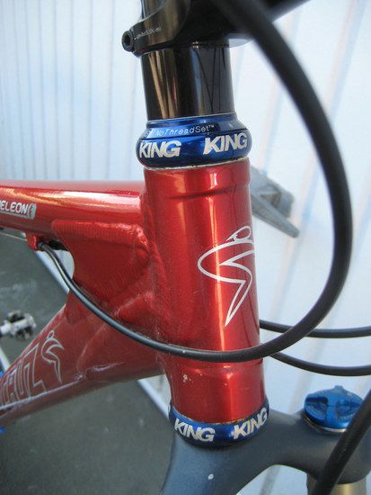Santa Cruz Chameleon Chris King