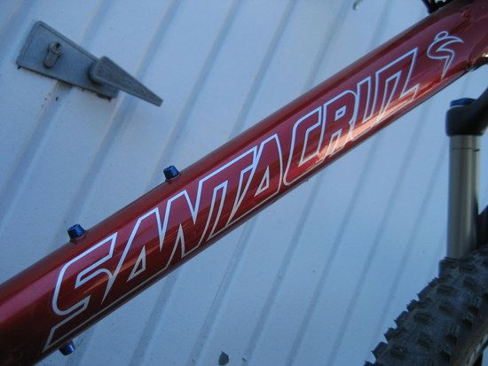 Santa Cruz Chameleon Schriftzug 1