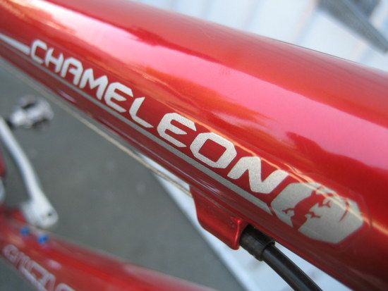 Santa Cruz Chameleon Schriftzug 2