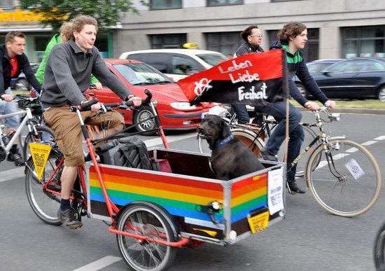 CriticalMass 1105 8723b