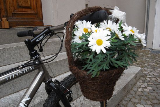 blumen