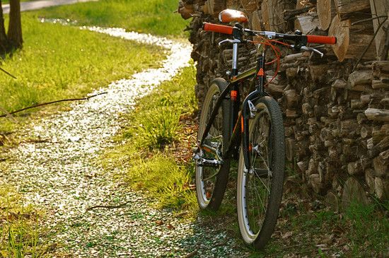 Cannondale SM 800