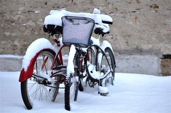 snow1