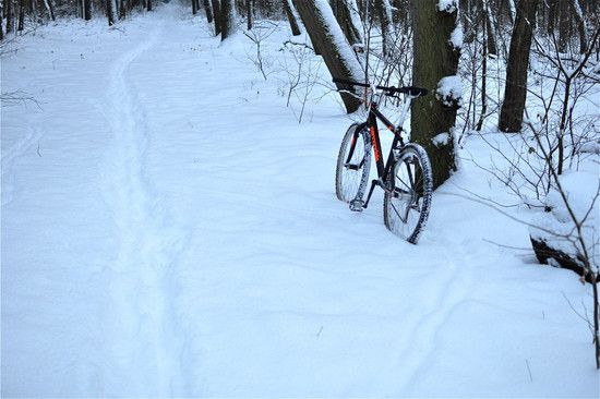 snow6