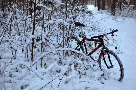 snow7