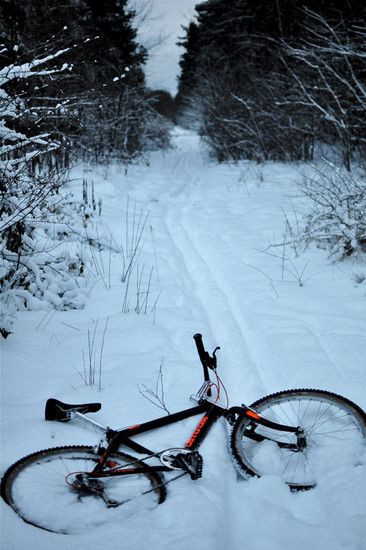snow9