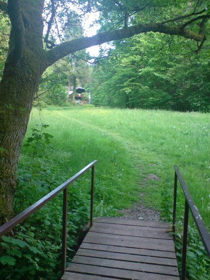 DSC00219