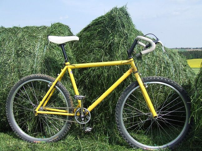 Titan punisher mountain bike sales