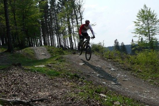 Willingen