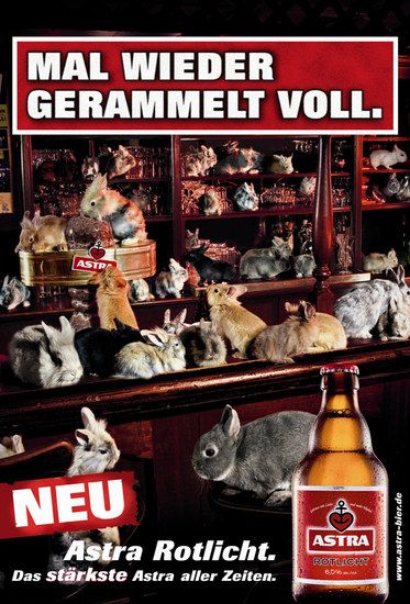 gerammelt-voll big