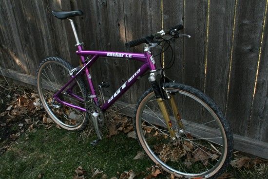 IMG 3558