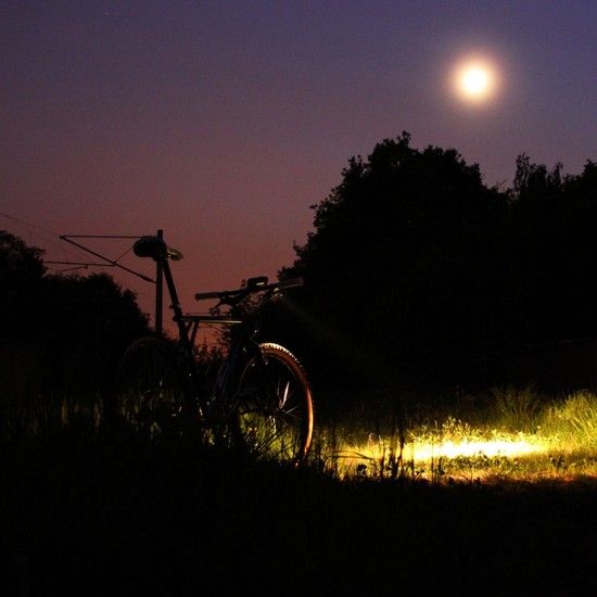 nightride