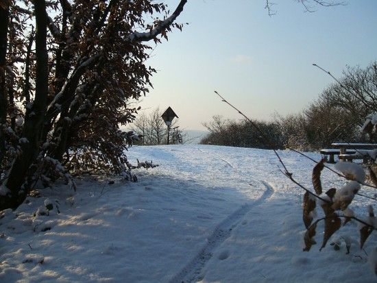 Winter 09/10 - 3