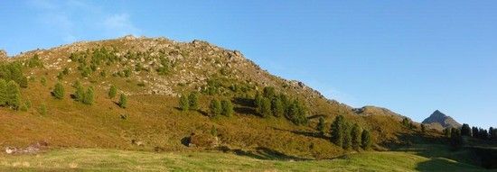 Panoramabild29