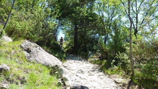 Vinschgau05