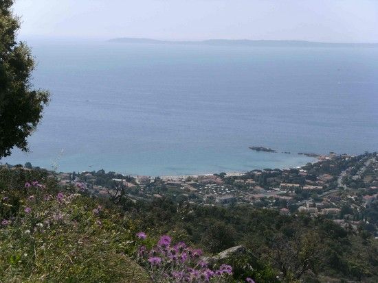 Blick auf St. Clair