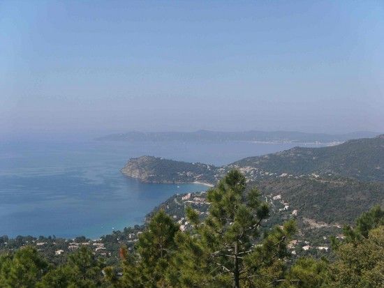 Blick auf das Cap Negre