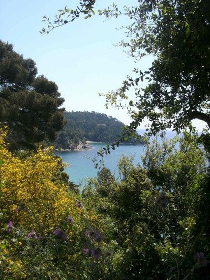 Bucht