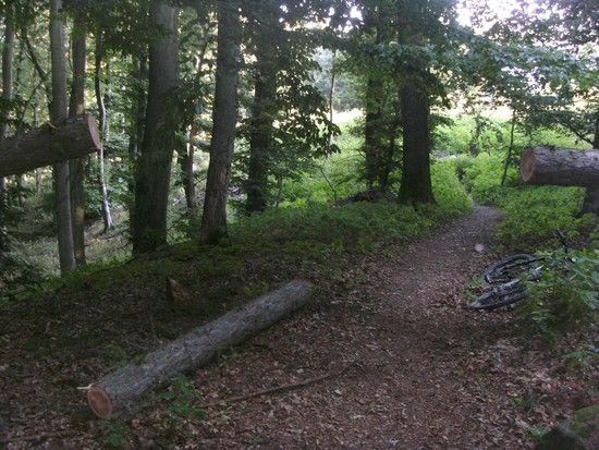 Eppenhain-Trail