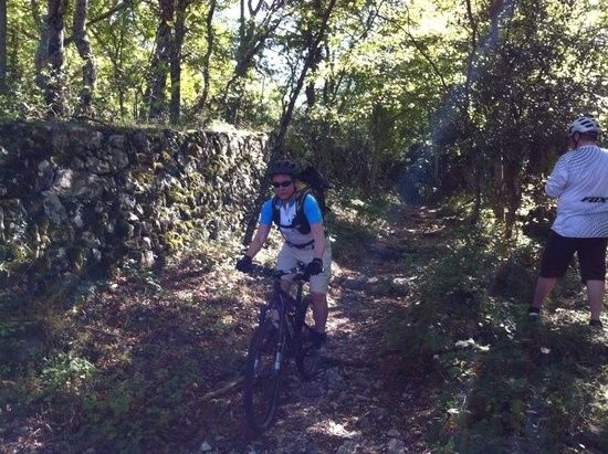 A. Auf Trail