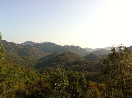 Im Esterel