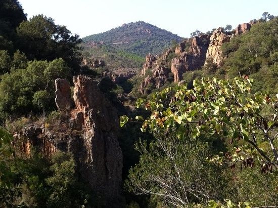 Im Esterel