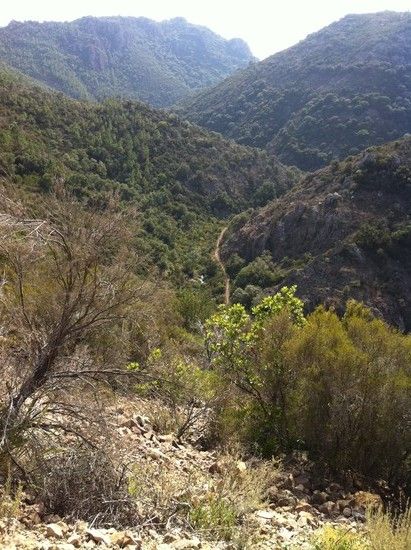Im Esterel