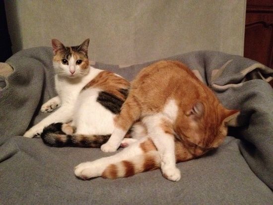 Amber und Ricky