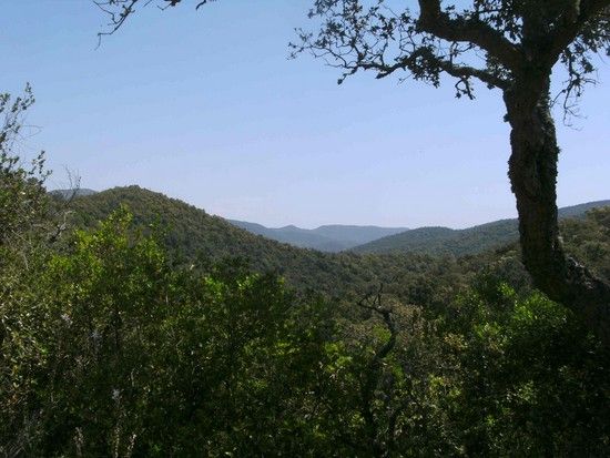 Im Massif des Maures