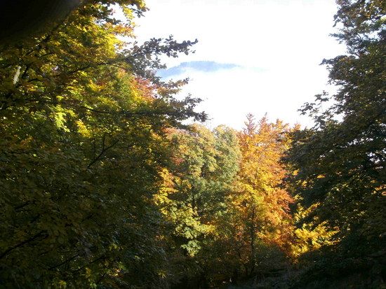 Blick vom Fuchsstein